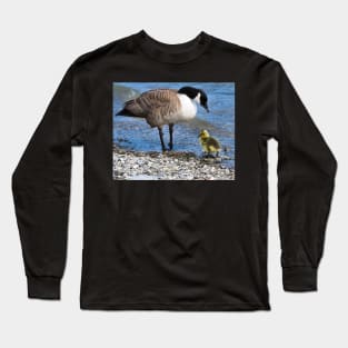 Canada Goose and Its Gosling Along The Shore Long Sleeve T-Shirt